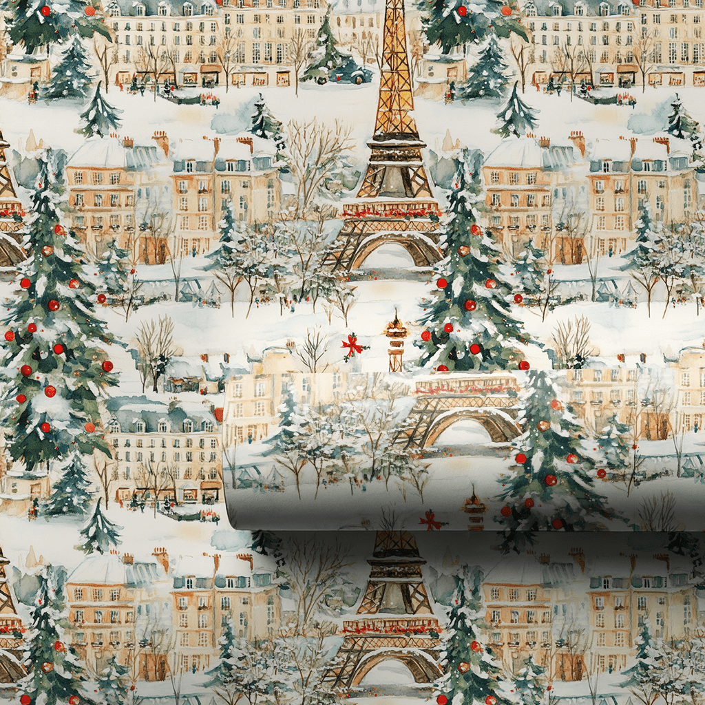 Christmas In Paris