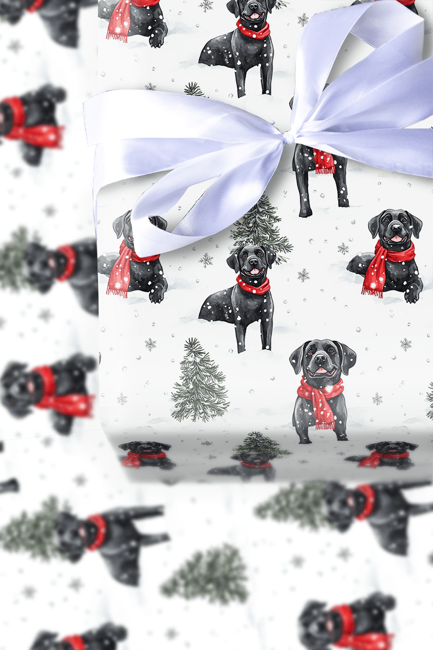 Snow Day for Black Lab