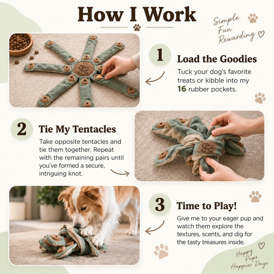 Dogtopus three-step use guide