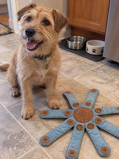 Terrier beside open Dogtopus